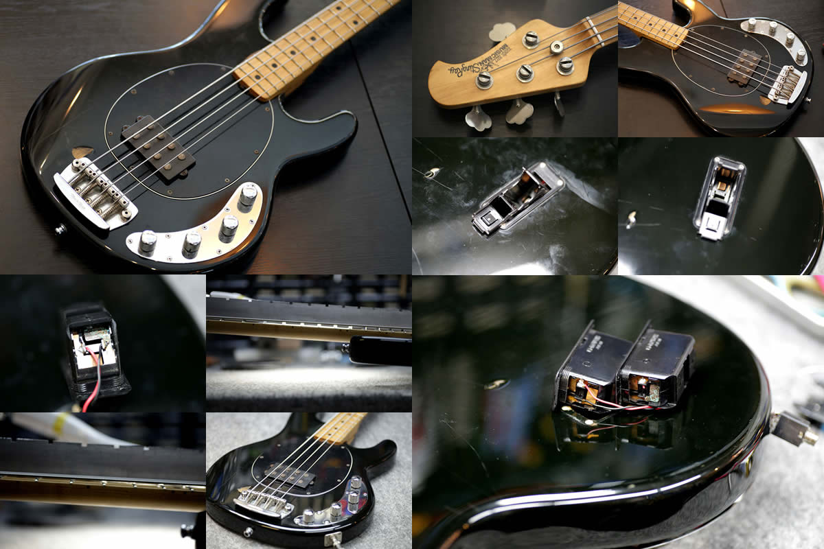 Ernie Ball Musicman Stingray - 電池ボックス交換 - SPREAD SOUND